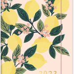 Orange Circle Studio Just Right 2022-2023 Monthly Planner - 17-Month Organizer with Full-Color Monthly Views, Storage Pocket & Elastic Closure - Lemon Tree
